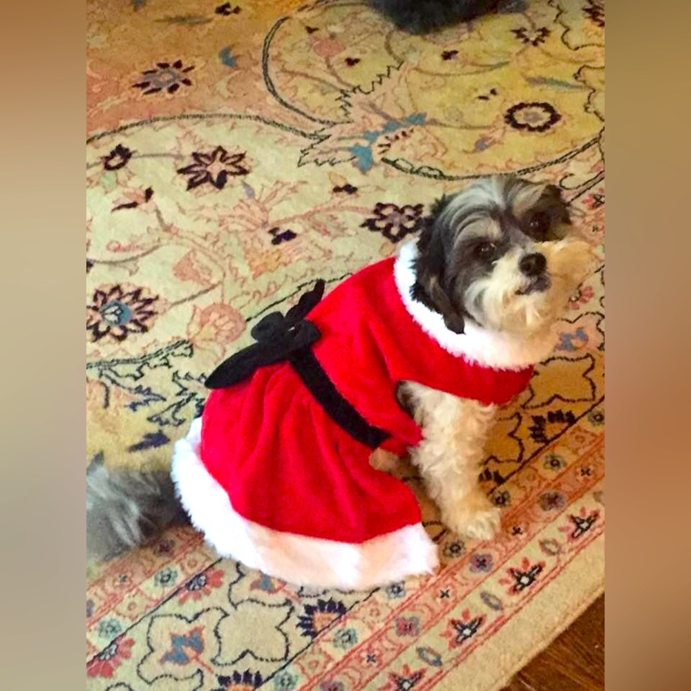 Meet your Posher, Donnamarie